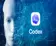 OpenAI Codex, yazılım iş akışları için daha kapsamlı bir AI ajanına dönüşüyor