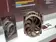 Noctua NH-D15 G2 Hava Soğutucu İncelemesi